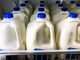 pasteurized milk