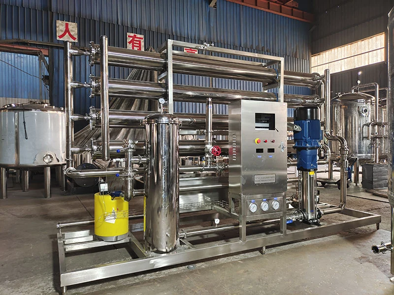 Zhongbo single-pass reverse osmosis system with Lewox membrane housings installed in a factory setting